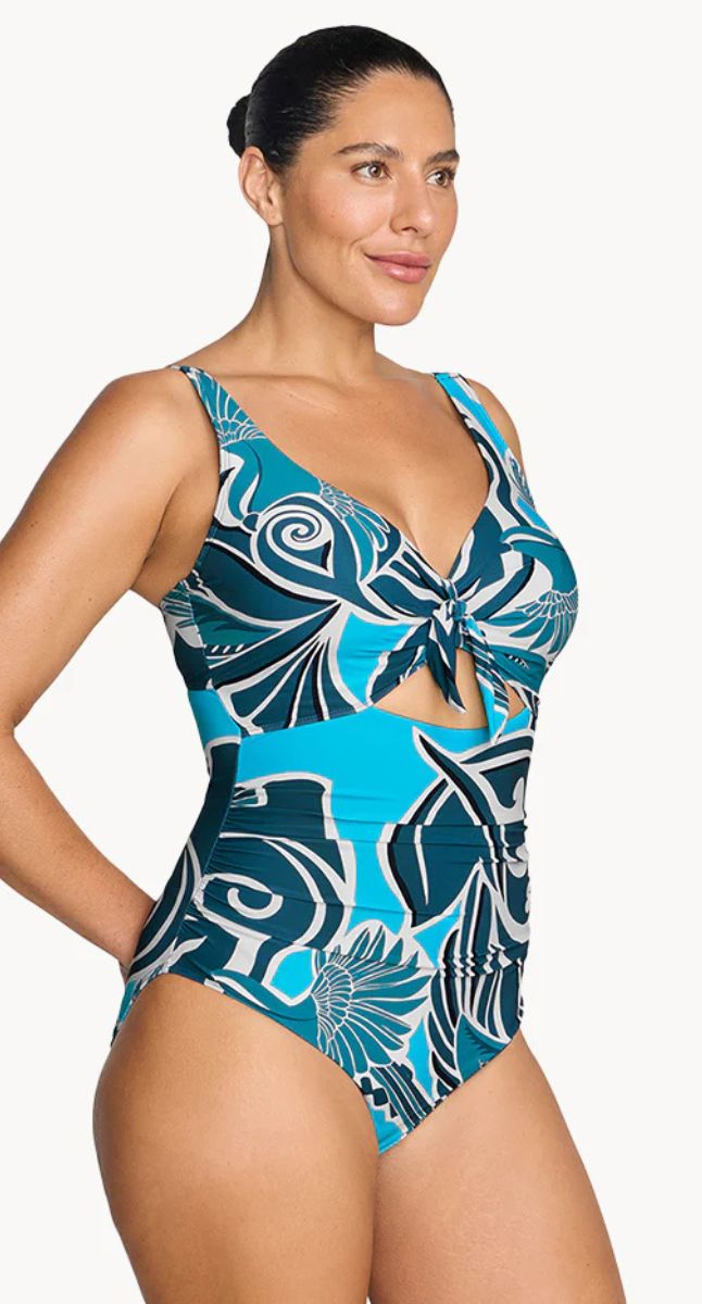 Shelloise Cezanne D/DD Underwire One Piece