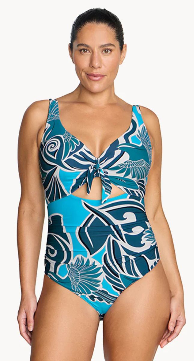 Shelloise Cezanne D/DD Underwire One Piece